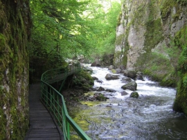 Eco trail Struilitsa – Kale – Luka